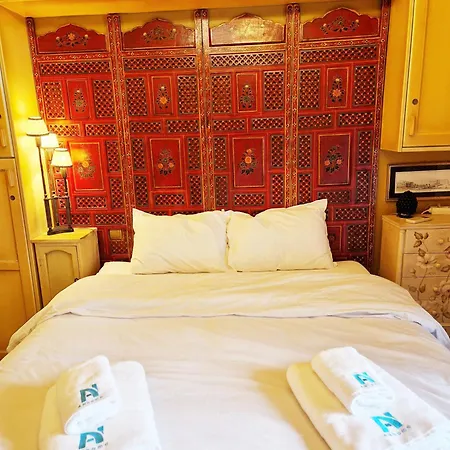 Lilium Anhome Premium Selections * Athens